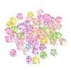 Transparent Acrylic Beads TACR-C002-01B-1