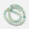 Round Natural Amazonite Bead Strands G-I183-02-12mm-3