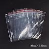 Plastic Zip Lock Bags OPP-G001-A-9x13cm-2