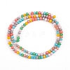 Faceted Glass Beads Strands X-GLAA-G074-B03-2