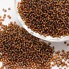 8/0 Transparent Glass Round Seed Beads X-SEED-J010-F8-31-1