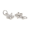 Brass Micro Pave Cubic Zirconia Charms ZIRC-L096-10P-2