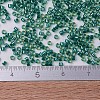 MIYUKI Delica Beads SEED-X0054-DB0919-3