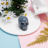 Halloween Dyed & Heated Natural Blue Aventurine Home Decorations DJEW-SC0001-03A-4