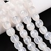 Natural Agate Beads Strands G-T144-50A-01-1