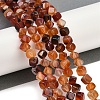 Natural Carnelian(Dyed & Heated) Beads Strands G-A257-A02-01-2