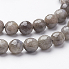 Natural Labradorite Beads Strands G-D136-6mm-11-4