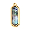 Paua Shell Pendants SSHEL-B145-01A-G-1