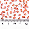 FGB 2-Hole Glass Seed Beads SEED-S031-M-SH130-2
