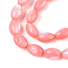 Natural Trochus Shell Beads Strands SHEL-K006-19-01E-3
