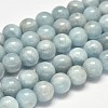 Round Natural Aquamarine Bead Strands G-F289-01-10mm-AA-1