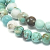 Natural Howlite Beads Strands G-L555-02-10mm-3