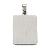 Non-Tarnish 304 Stainless Steel Pendants STAS-K216-48Z-P-2