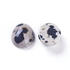 Natural Dalmatian Jasper Cabochons G-L511-B-02-2
