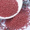 MIYUKI Round Rocailles Beads X-SEED-G007-RR0425-1