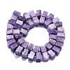 Natural Lepidolite/Purple Mica Stone Beads Strands G-K245-F01-05-2
