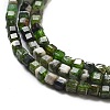 Natural Diopside Beads Strands G-G161-C23-01-4