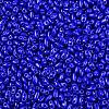 Baking Paint Glass Seed Beads SEED-T006-03-01-2