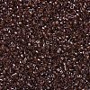 MIYUKI Delica Beads SEED-MY11-DB1891-3