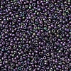 MIYUKI Round Rocailles Beads SEED-JP0008-RR2019-2