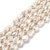 Natural Cultured Freshwater Pearl Beads Strands PEAR-L033-36D-1
