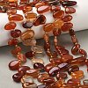 Natural Red Agate Beads Strands G-P604-A14-01-1