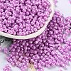 Glass Seed Beads SEED-L011-04A-05-1