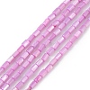 Natural Freshwater Shell Dyed Beads Strands SHEL-M018-12-08-1