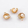 Alloy Charms X-PALLOY-N0118-267-1
