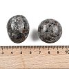 Natural Syenite Beads G-G348-01B-46-3