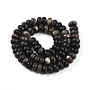 Natural Biotite Beads Strands G-T140-69A-2