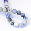 Natural Sodalite Round Bead Strands X-G-E334-6mm-08-3