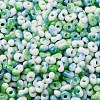 Baking Paint Glass Seed Beads SEED-C003-01B-3