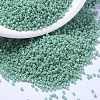 MIYUKI Delica Beads SEED-MY11-DB2125-1