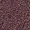 MIYUKI Delica Beads SEED-X0054-DB1013-3