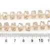 Transparent Electroplate Glass Beads Strands EGLA-P062-01A-PL03-4