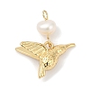 Natural Cultured Freshwater Pearl & Brass Pendants KK-U062-03G-1