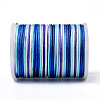 Segment Dyed Polyester Thread NWIR-I013-B-01-3