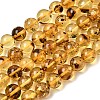 Natural Amber Beads Strands G-K376-H03-01-2
