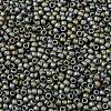 TOHO 8/0 Round Beads X-SEED-TR08-0613-2