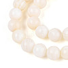 Natural Freshwater Shell Beads Strands SHEL-N038-05-3