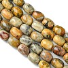 Barrel Shaped Gemstone Natural Crazy Lace Agate Beads Strands X-G-S114-08-3
