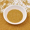 MIYUKI Delica Beads SEED-X0054-DB2285-2