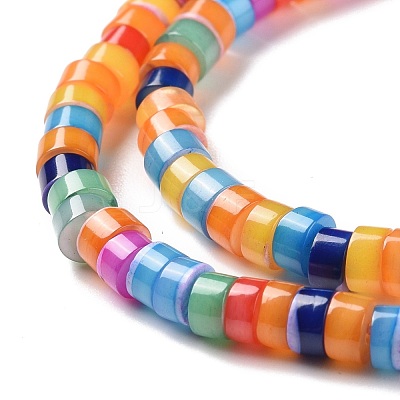 Natural Trochid Shell Beads Strands SSHEL-G023-02C-02-1