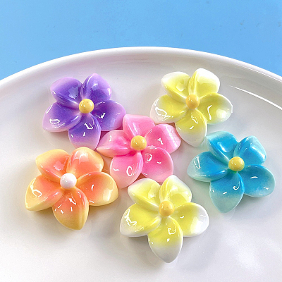 50Pcs 5 Colors Opaque Resin Cabochons FIND-SC0020-81-1