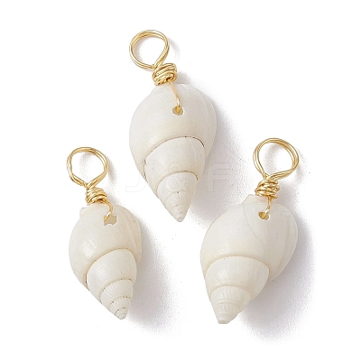 Spiral Shell Pendants PALLOY-JF02492-01-1