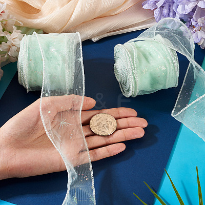 Polyester Deco Mesh Ribbons OCOR-TAC0024-004G-1