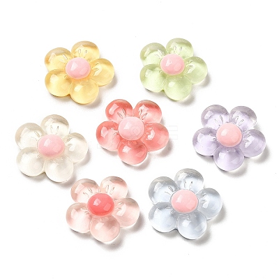 Translucent Resin Cabochons X-RESI-C034-04-1