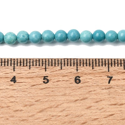 Dyed Natural Magnesite Beads Strands G-A323-A01-4mm-1