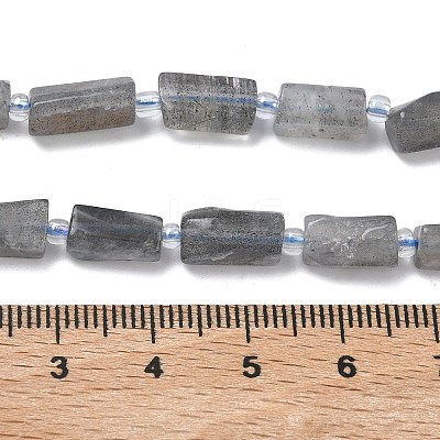 Natural Labradorite Beads Strands G-C270-K19-01-1